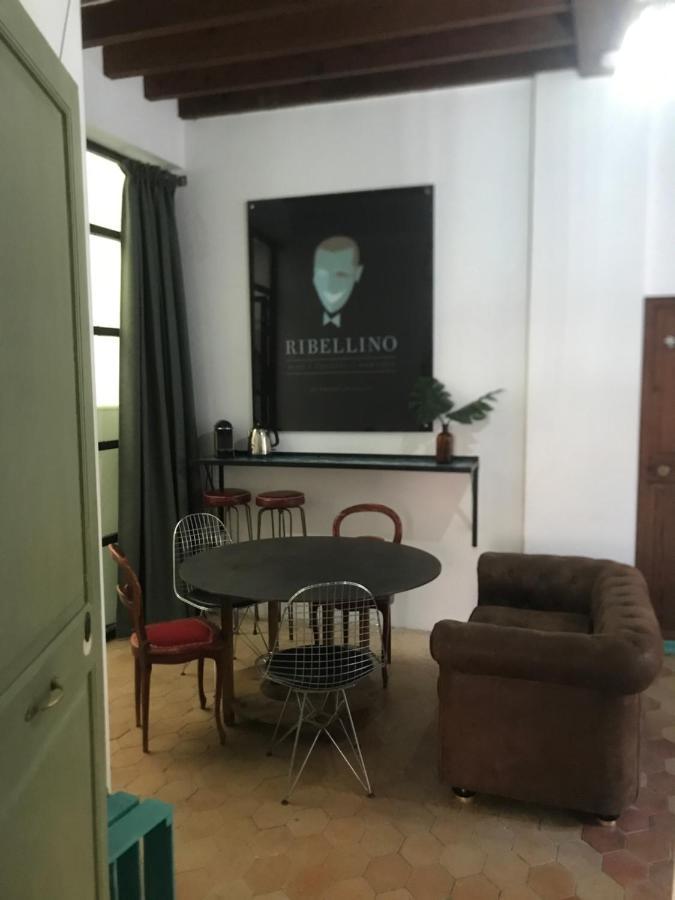 Ribellino - Dog Admiral Urban Palma